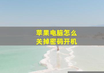 苹果电脑怎么关掉密码开机