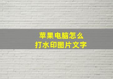 苹果电脑怎么打水印图片文字