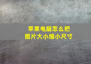 苹果电脑怎么把图片大小缩小尺寸