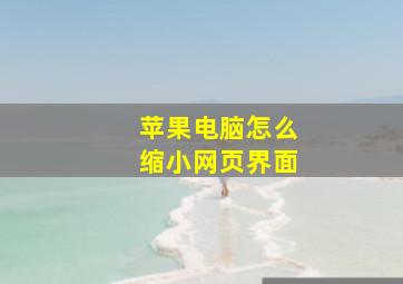 苹果电脑怎么缩小网页界面