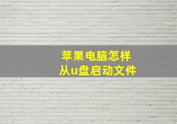 苹果电脑怎样从u盘启动文件