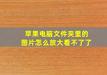 苹果电脑文件夹里的图片怎么放大看不了了