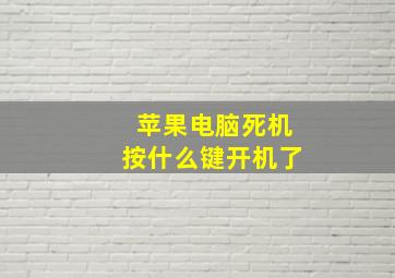 苹果电脑死机按什么键开机了