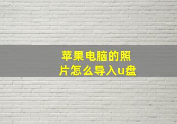 苹果电脑的照片怎么导入u盘