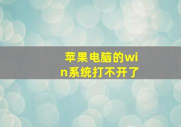 苹果电脑的win系统打不开了