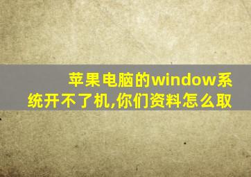 苹果电脑的window系统开不了机,你们资料怎么取