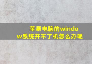 苹果电脑的window系统开不了机怎么办呢