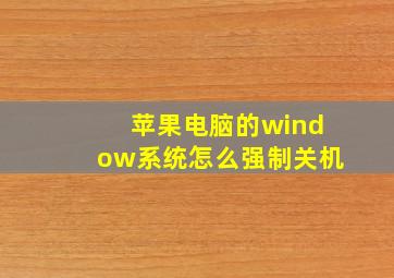 苹果电脑的window系统怎么强制关机