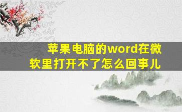 苹果电脑的word在微软里打开不了怎么回事儿