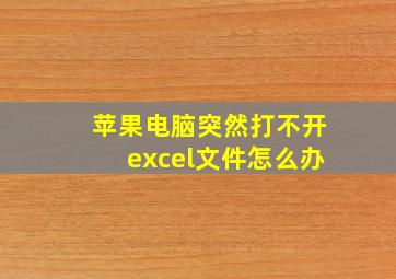 苹果电脑突然打不开excel文件怎么办