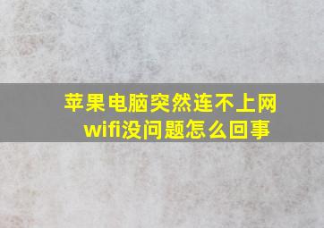 苹果电脑突然连不上网wifi没问题怎么回事