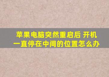 苹果电脑突然重启后 开机一直停在中间的位置怎么办