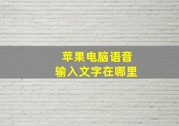 苹果电脑语音输入文字在哪里