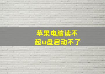 苹果电脑读不起u盘启动不了