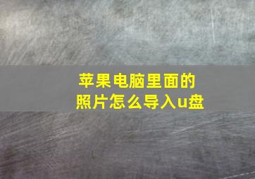 苹果电脑里面的照片怎么导入u盘