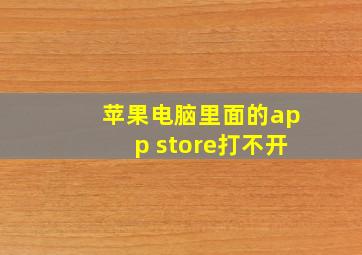 苹果电脑里面的app store打不开