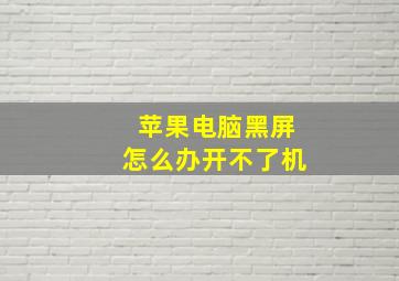 苹果电脑黑屏怎么办开不了机