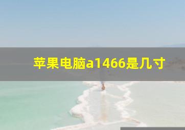 苹果电脑a1466是几寸