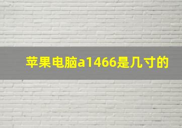 苹果电脑a1466是几寸的