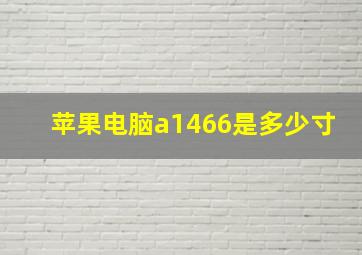 苹果电脑a1466是多少寸