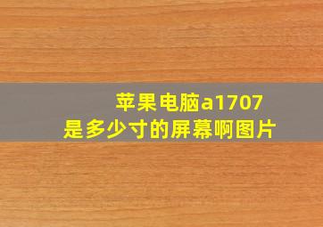 苹果电脑a1707是多少寸的屏幕啊图片