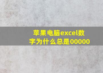 苹果电脑excel数字为什么总是00000