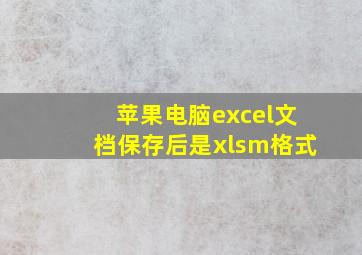 苹果电脑excel文档保存后是xlsm格式