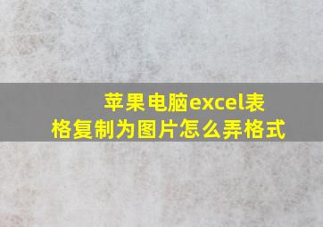 苹果电脑excel表格复制为图片怎么弄格式