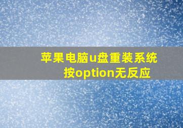 苹果电脑u盘重装系统按option无反应