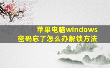 苹果电脑windows密码忘了怎么办解锁方法