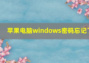 苹果电脑windows密码忘记了