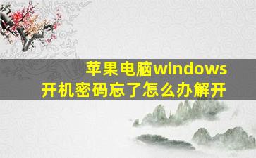 苹果电脑windows开机密码忘了怎么办解开