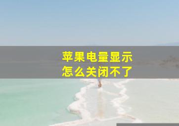 苹果电量显示怎么关闭不了