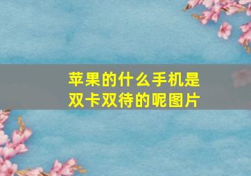 苹果的什么手机是双卡双待的呢图片