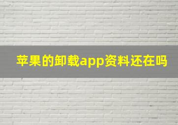 苹果的卸载app资料还在吗