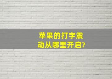 苹果的打字震动从哪里开启?