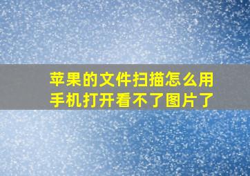 苹果的文件扫描怎么用手机打开看不了图片了