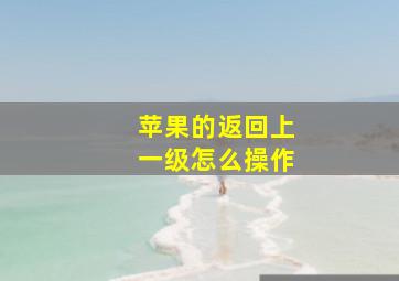 苹果的返回上一级怎么操作