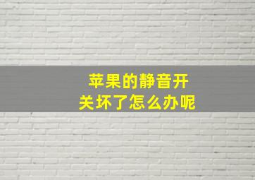 苹果的静音开关坏了怎么办呢