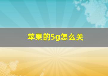 苹果的5g怎么关