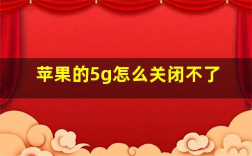 苹果的5g怎么关闭不了