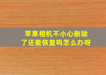 苹果相机不小心删除了还能恢复吗怎么办呀