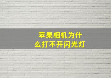 苹果相机为什么打不开闪光灯