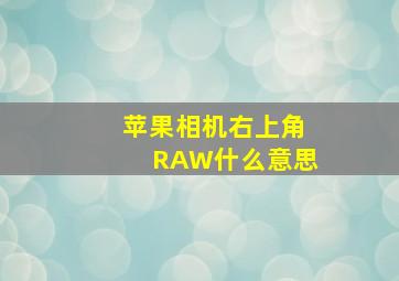 苹果相机右上角RAW什么意思