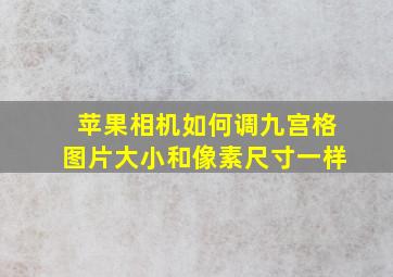 苹果相机如何调九宫格图片大小和像素尺寸一样