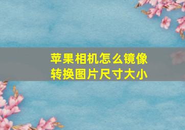 苹果相机怎么镜像转换图片尺寸大小