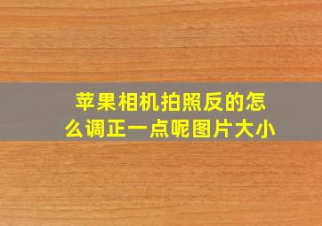 苹果相机拍照反的怎么调正一点呢图片大小