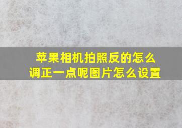 苹果相机拍照反的怎么调正一点呢图片怎么设置