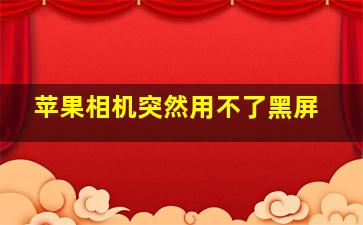 苹果相机突然用不了黑屏