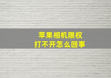 苹果相机限权打不开怎么回事